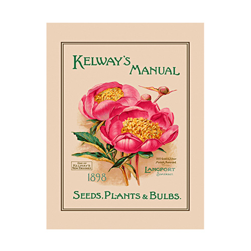 [울스터위버스] 티타올 RHS Kelway&#039;s Manual Linen Tea Towel