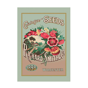 [울스터위버스] 티타올 Catalogue Of Seeds